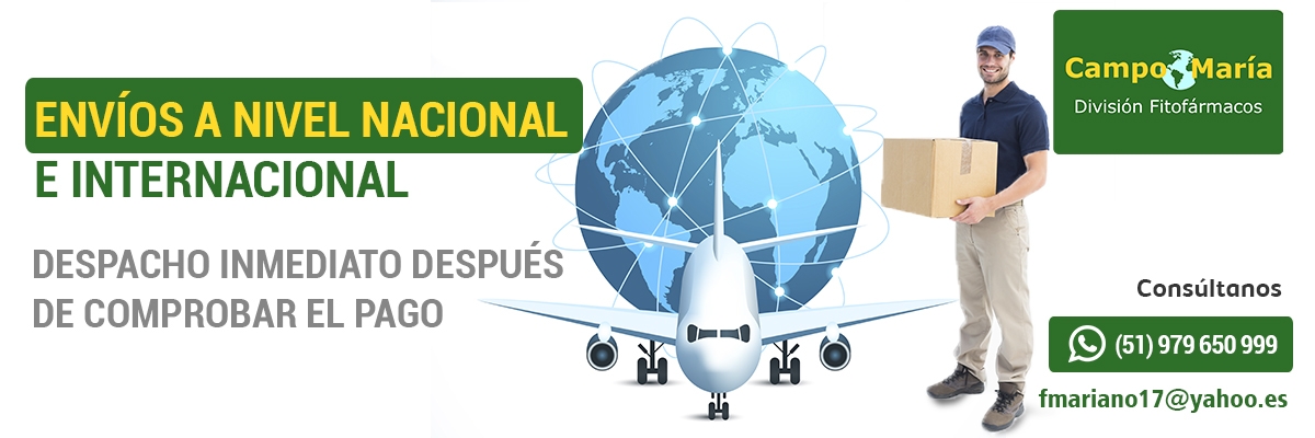 pedidos